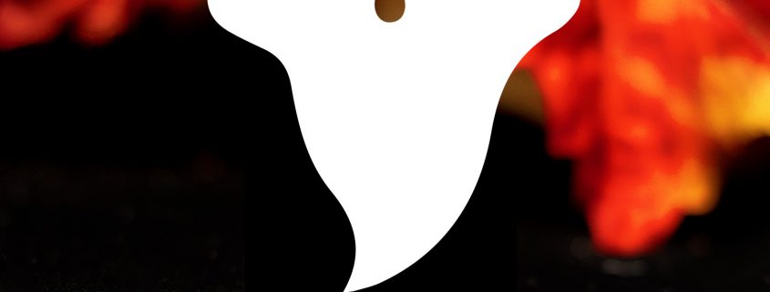 Happy Halloween from Kaufmann de Suisse Jewelers