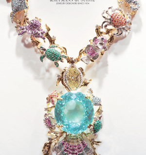 Paraiba-Cutout-Edited-nologo